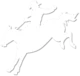 RTT_horse_logo_blue_transp_80 flexile-white-logo